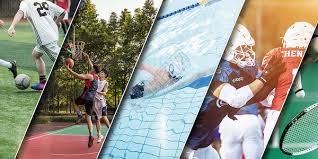 综合体育赛事档案库 历史资料系统整理